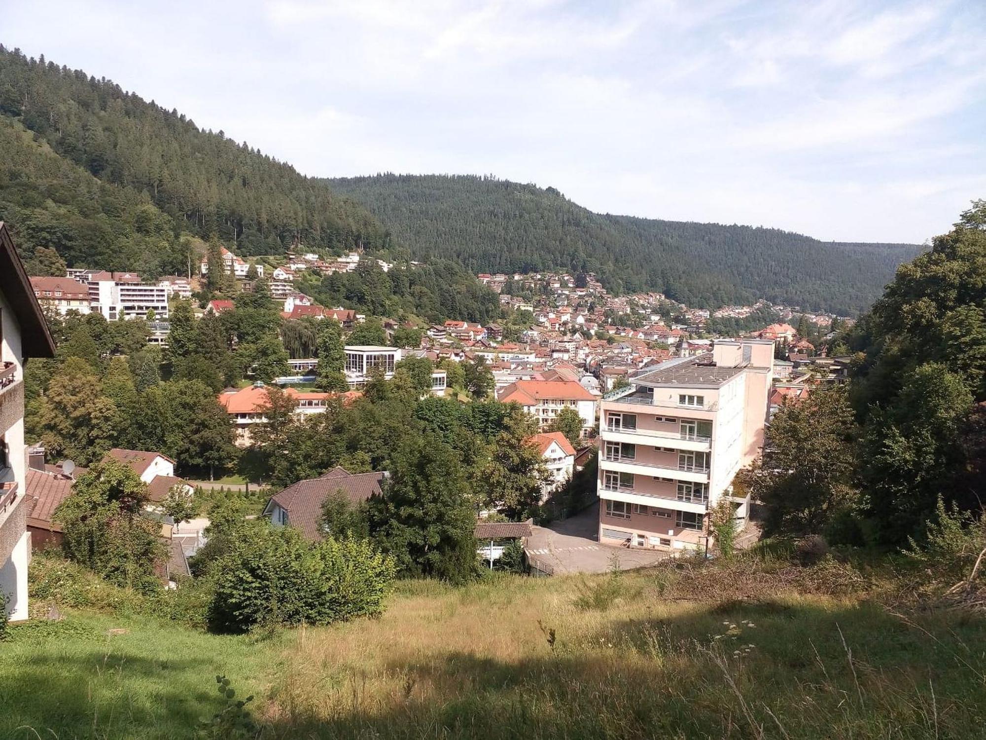 Ferienwohnung Tannenwald Bad Wildbad Exteriér fotografie