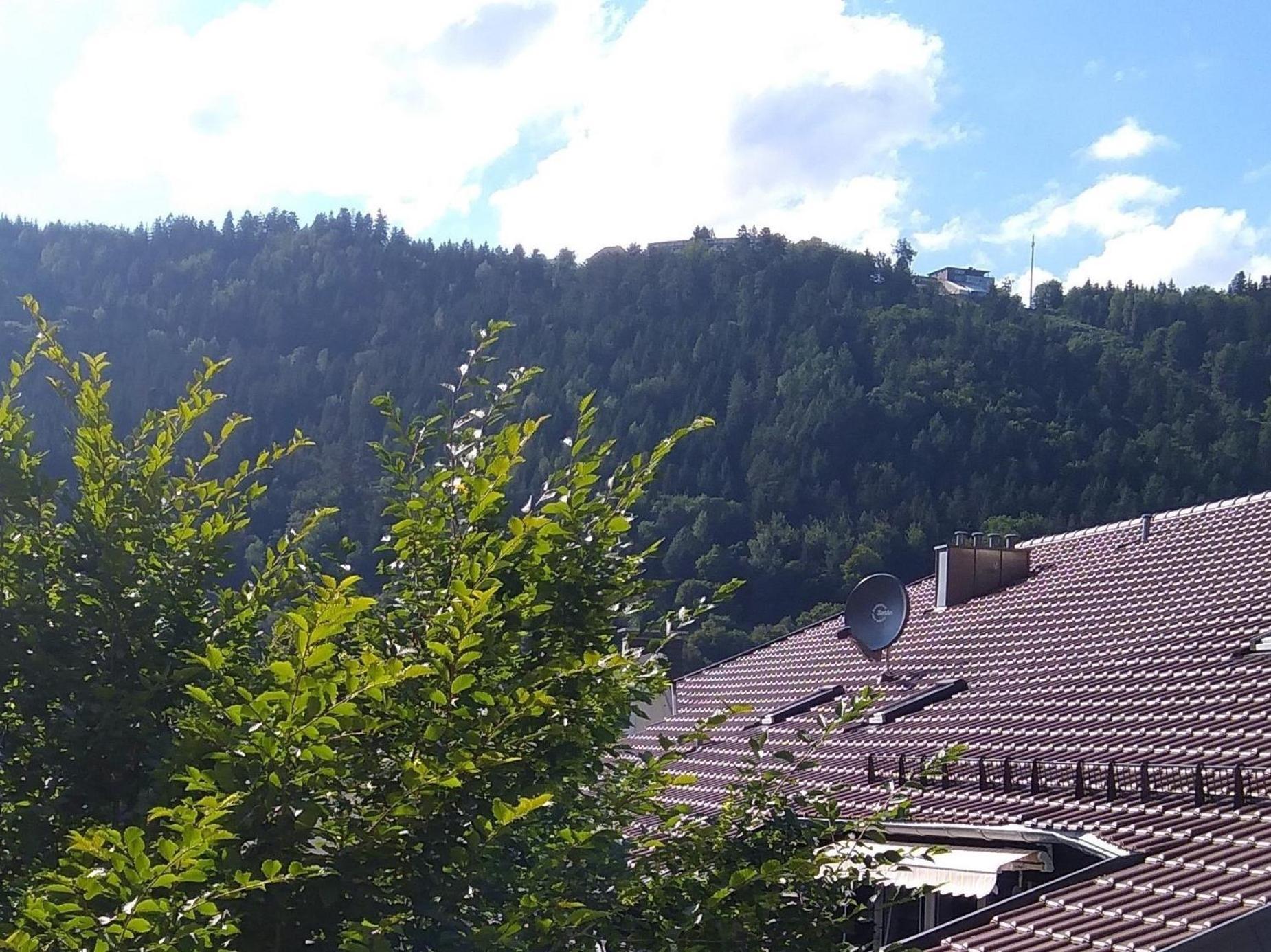 Ferienwohnung Tannenwald Bad Wildbad Exteriér fotografie