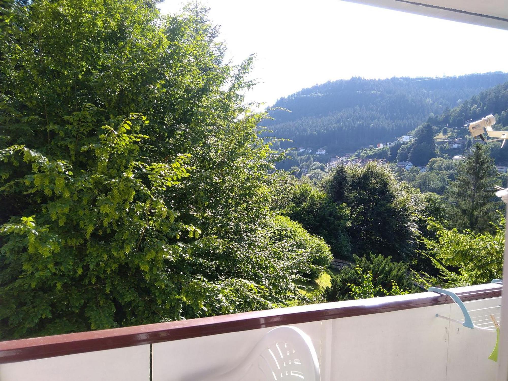 Ferienwohnung Tannenwald Bad Wildbad Exteriér fotografie